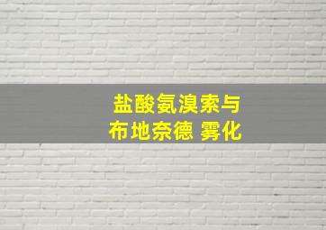 盐酸氨溴索与布地奈德 雾化